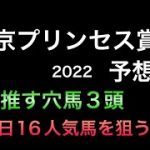 【競馬予想】 南関東重賞 東京プリンセス賞 2022 予想